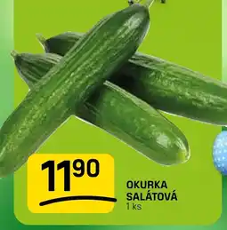 Flop Okurka salátová nabídka
