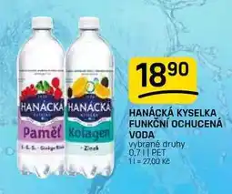 Flop HANÁCKÁ KYSELKA FUNKČNÍ OCHUCENÁ VODA vybrané druhy nabídka