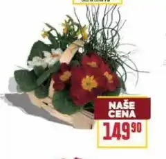 Billa Kytice nabídka