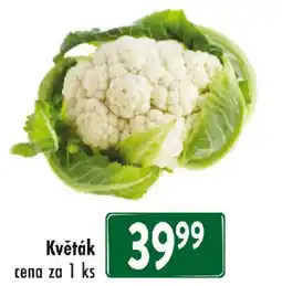 Qanto Květák nabídka