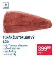 TUŇÁK ŽLUTOPLOUTVÝ LOIN