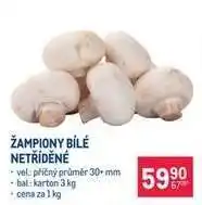Makro Žampiony bílé netříděné nabídka