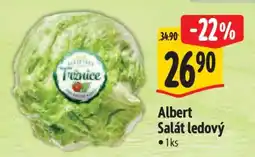 Albert Albert Salát ledový nabídka