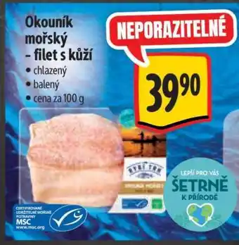Albert Okouník mořský - filet s kůží nabídka