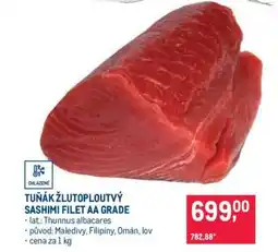 Makro Tuňák žlutoploutvý Sashimi filet AA grade nabídka