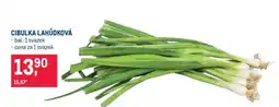 Makro CIBULKA LAHŮDKOVÁ nabídka