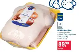 Makro MLADÁ KACHNA nabídka