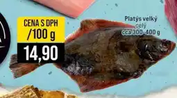 Jip Platýs velký celý nabídka