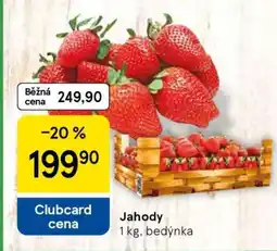Tesco Jahody nabídka