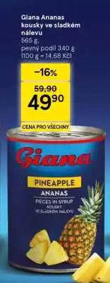 Tesco Giana Ananas kousky ve sladkém nálevu nabídka