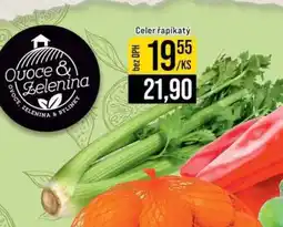 Jip Celer řapíkatý nabídka