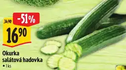 Albert Okurka salátová hadovka nabídka