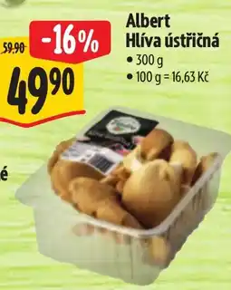 Albert Albert Hlíva ústřičná nabídka