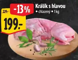 Albert Králík s hlavou nabídka