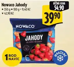 Albert Nowaco Jahody nabídka