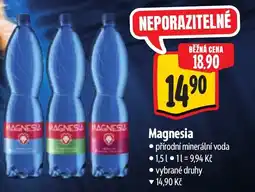 Albert Magnesia nabídka