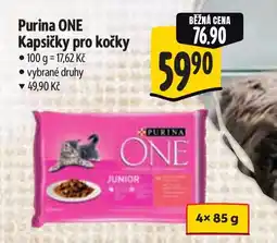 Albert Purina ONE Kapsičky pro kočky nabídka