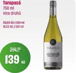 BonVeno Tarapacá nabídka