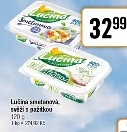 TEMPO Lučina smetanová, svěží s pažitkou nabídka