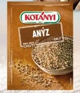 TEMPO KOTANYI Anýz celý nabídka