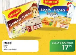 Tamda Foods Maggi bujón nabídka