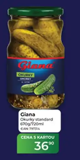 Tamda Foods Giana Okurky standard nabídka