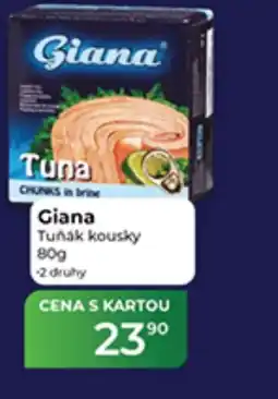 Tamda Foods Giana Tuňák kousky nabídka