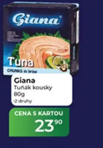 Tamda Foods Giana Tuňák kousky nabídka