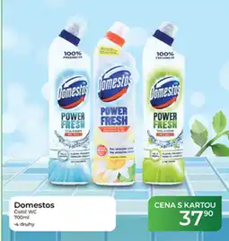 Tamda Foods Domestos Cistic WC nabídka