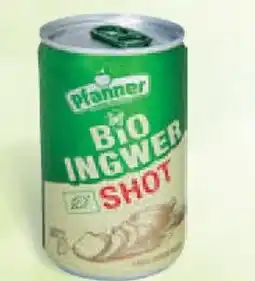 Billa Pfanner Bio Ginger shot nabídka