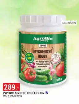 Baumax Inporo Mykorhizní houby nabídka