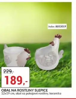 Baumax Obal na rostliny slepice nabídka