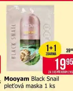 Teta Mooyam Black Snail pleťová maska 1 ks nabídka