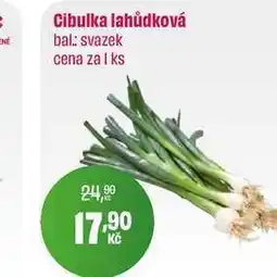 BonVeno Cibulka lahůdková SVAZEK nabídka