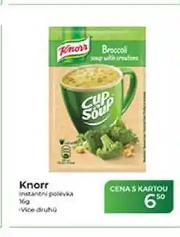 Tamda Foods Knorr instantní polévka nabídka