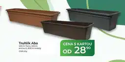 Tamda Foods Truhlík Aba 40cm nabídka