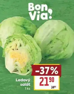 Billa Ledový salát nabídka