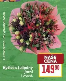 Billa Kytice s tulipány jarní nabídka