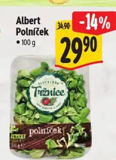 Albert Polníček nabídka