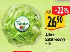 Albert Salát ledový nabídka