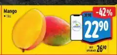 Albert Mango nabídka