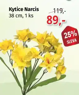 PRIOR Kytice Narcis 1 nabídka