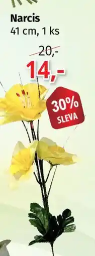 PRIOR Narcis nabídka