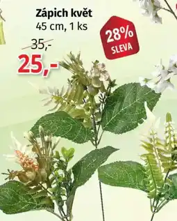 PRIOR Zápich květ nabídka