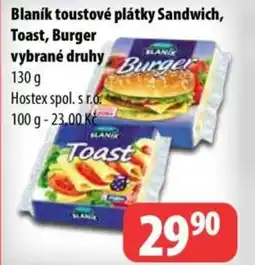 Partner Maloobchodní síť Blaník toustové plátky Sandwich, Toast, Burger nabídka