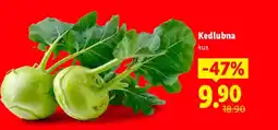 Lidl Kedlubna nabídka