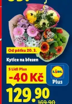 Lidl Kytice na březen nabídka