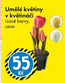 TEDi Umělé květiny v květináči nabídka