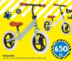 TEDi Odrážedlo nabídka