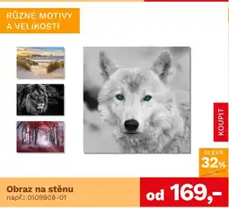 Asko Obraz na stěnu nabídka